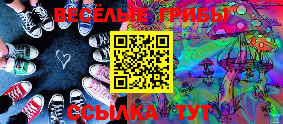 Псилоцибиновые грибы мицелий  Псилоцибиновые грибы ЛСД  Вход с VPN  Томск 