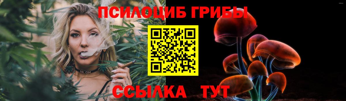 Галлюциногенные грибы Cubensis Томск